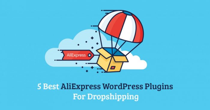 Los 5 mejores complementos de WordPress para AliExpress para Dropshipping
